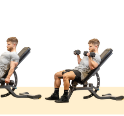Dumbbell Hammer Curl